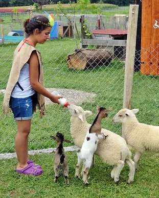 La petite ferme de Pouillon